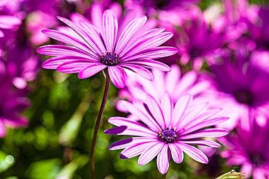 《痛苦地狱》未分级版将作为免费DLC推出