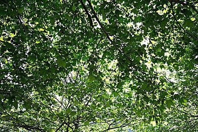 《生化危机9》试玩新演示 画面逼真超恐怖