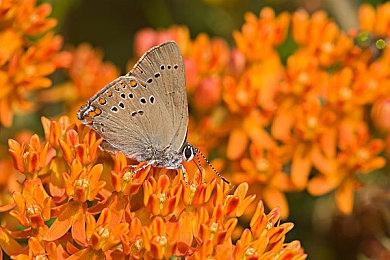 《F1 22》将于10月20-24日展开免费试玩